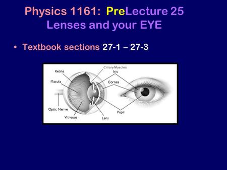 Textbook sections 27-1 – 27-3 Physics 1161: PreLecture 25 Lenses and your EYE Ciliary Muscles.