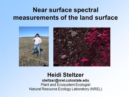 Near surface spectral measurements of the land surface Heidi Steltzer Plant and Ecosystem Ecologist Natural Resource Ecology.