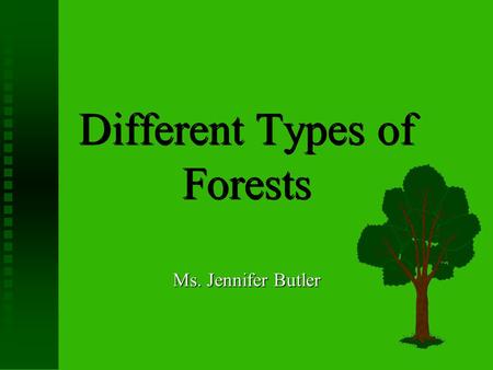 Different Types of Forests Ms. Jennifer Butler Introduction  There are two different types of forests.  Today we are going to identify both types and.