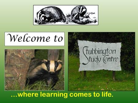 Welcome to …where learning comes to life.. Where are we? The Solent Stubbington Study Centre Conservation Area Dorms Sports fields Earthquake.