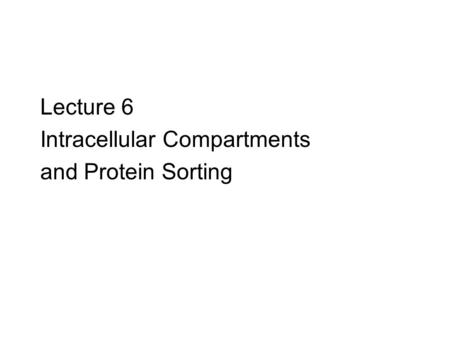 Lecture 6 Intracellular Compartments and Protein Sorting.