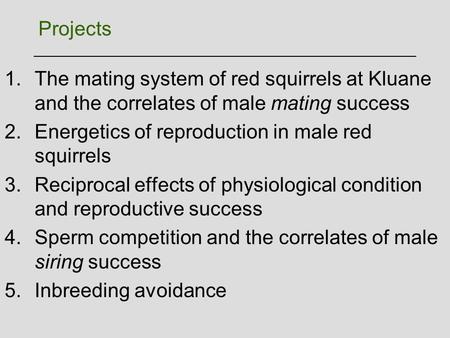 Projects 1.The mating system of red squirrels at Kluane and the correlates of male mating success 2.Energetics of reproduction in male red squirrels 3.Reciprocal.