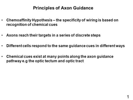 Principles of Axon Guidance Chemoaffinity Hypothesis – the specificity of wiring is based on recognition of chemical cues Axons reach their targets in.