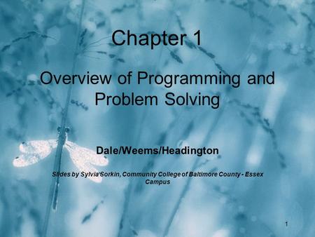 1 Chapter 1 Overview of Programming and Problem Solving Dale/Weems/Headington Slides by Sylvia Sorkin, Community College of Baltimore County - Essex Campus.