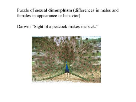 Puzzle of sexual dimorphism (differences in males and