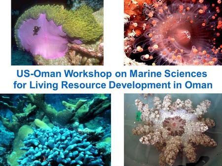 US-Oman Workshop on Marine Sciences for Living Resource Development in Oman.