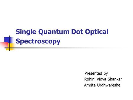 Single Quantum Dot Optical Spectroscopy