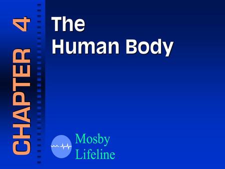 The Human Body CHAPTER 4. Anatomic Terms The Anatomic Position.