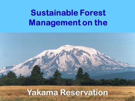 Sustainable Forest Management on the Yakama Reservation.