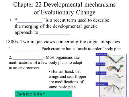 Chapter 22 Developmental mechanisms of Evolutionary Change “__________” is a recent term used to describe the merging of the developmental genetic approach.