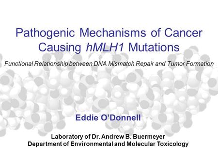 Pathogenic Mechanisms of Cancer Causing hMLH1 Mutations Functional Relationship between DNA Mismatch Repair and Tumor Formation Eddie O’Donnell Laboratory.