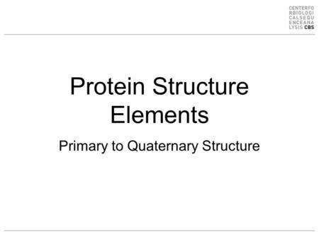 Protein Structure Elements Primary to Quaternary Structure.