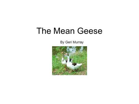 The Mean Geese By Geri Murray. Scat went to the creek with her kittens. Near the stream were big geese. The geese said Honk!