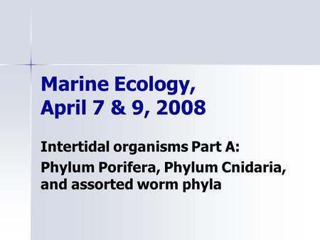 Marine Ecology, April 7 & 9, 2008 Intertidal organisms Part A: Phylum Porifera, Phylum Cnidaria, and assorted worm phyla.