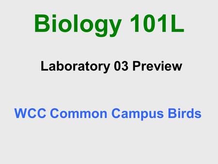 Biology 101L Biology & Society Laboratory WCC Common Campus Birds Laboratory 03 Preview Biology 101L.