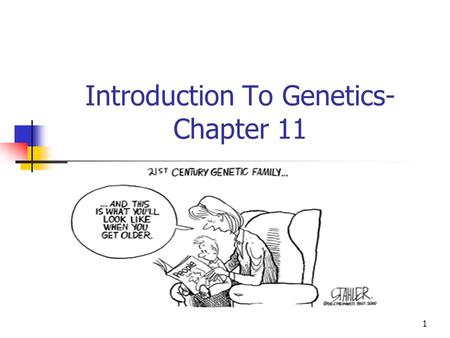 Introduction To Genetics- Chapter 11