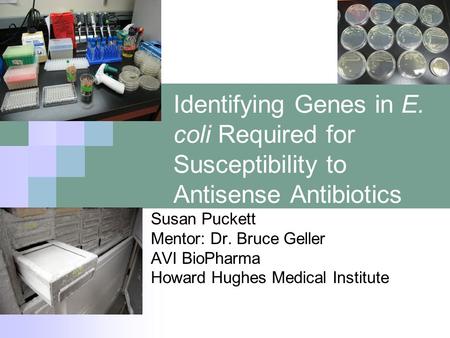 Identifying Genes in E. coli Required for Susceptibility to Antisense Antibiotics Susan Puckett Mentor: Dr. Bruce Geller AVI BioPharma Howard Hughes Medical.