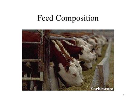 1 Feed Composition. 2 Concentrate Feeds that are low in fiber and high in total digestible nutrients like GRAIN.