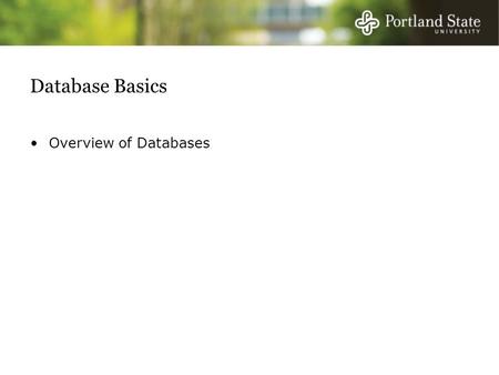 Database Basics Overview of Databases. Arrivederci Pacioli Five primary weaknesses of traditional accounting system (debits and credits): Focus on subset.