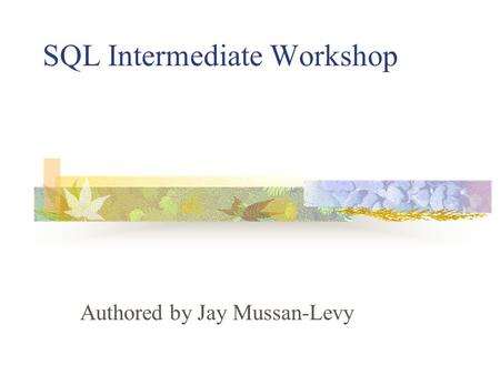 SQL Intermediate Workshop Authored by Jay Mussan-Levy.