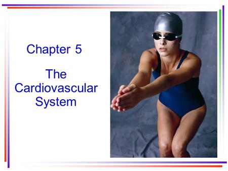 Chapter 5 The Cardiovascular System. The Cardiovascular system Heart—pumps blood to lungs and systemic circulation Blood vessels—are the pipelines for.