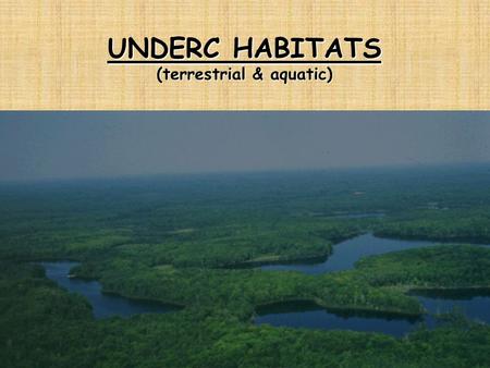 UNDERC HABITATS (terrestrial & aquatic). CHANGE CONTINUES EVOLUTIONARY AND GEOLOGICAL CHANGE (inherent) ECOLOGY OF AQUATIC HABITATS (inherent) ECOLOGY.