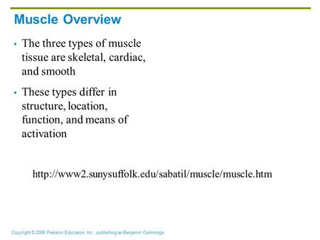 Copyright © 2006 Pearson Education, Inc., publishing as Benjamin Cummings Muscle Overview  The three types of muscle tissue are skeletal, cardiac, and.