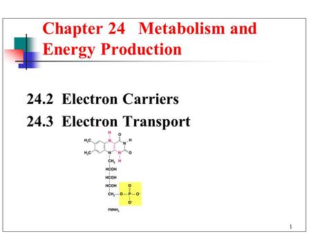 1 24.2 Electron Carriers 24.3 Electron Transport Chapter 24 Metabolism and Energy Production.