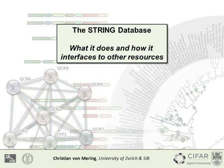 The STRING Database What it does and how it interfaces to other resources The STRING Database What it does and how it interfaces to other resources Christian.