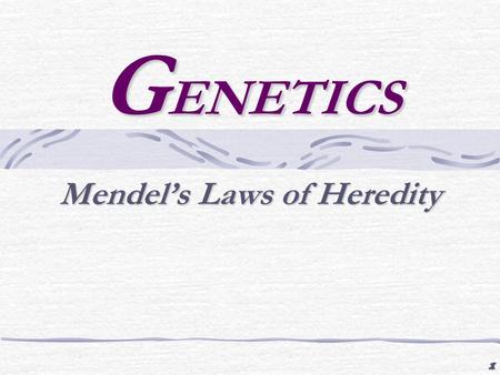 1 G ENETICS Mendel’s Laws of Heredity. 2 Mendel’s Laws Law of segregation The two alleles for ___________________________________ A parent will pass down.