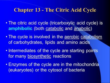 Chapter 13 - The Citric Acid Cycle The citric acid cycle (tricarboxylic acid cycle) is amphibolic (both catabolic and anabolic) The cycle is involved in.