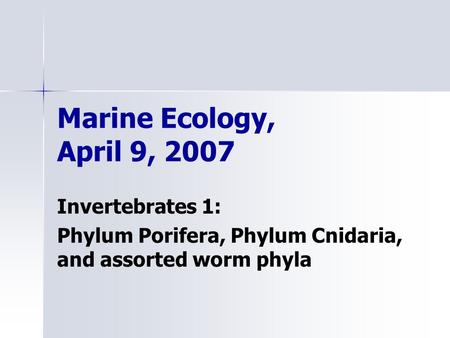 Marine Ecology, April 9, 2007 Invertebrates 1: Phylum Porifera, Phylum Cnidaria, and assorted worm phyla.
