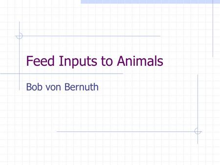 Feed Inputs to Animals Bob von Bernuth. Considerations in a Ration/Diet Energy Proteins & Amino Acids Minerals Vitamins Non-nutritative additives.