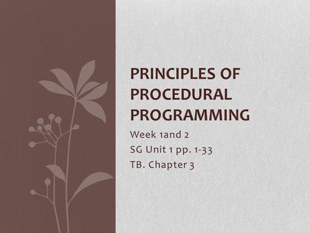 Principles of Procedural Programming