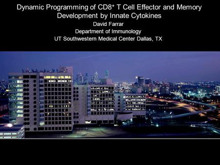 Dynamic Programming of CD8 + T Cell Effector and Memory Development by Innate Cytokines David Farrar Department of Immunology UT Southwestern Medical Center.