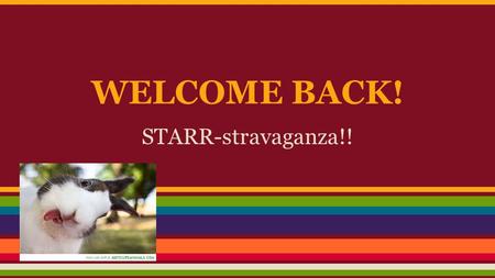 WELCOME BACK! STARR-stravaganza!!.