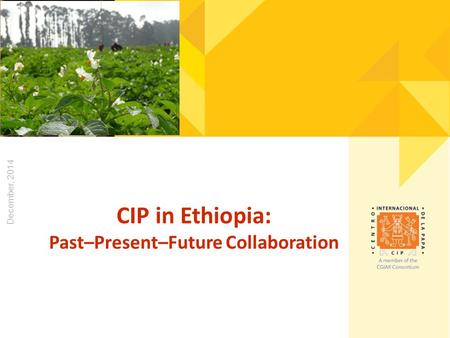 December, 2014 CIP in Ethiopia: Past–Present–Future Collaboration.