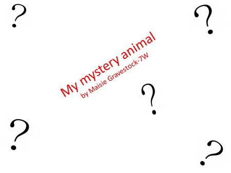 My mystery animal by Maisie Gravestock-7W. I am a mammal, therefore a vertebrate, who lives in not only the African plains but also parts of the Kalahari.