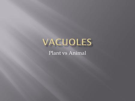 Plant vs Animal.  A large vesicle made from the endoplasmic reticulum and the golgi apparatus  Two types in plant cells  Food vacuoles- formed by.