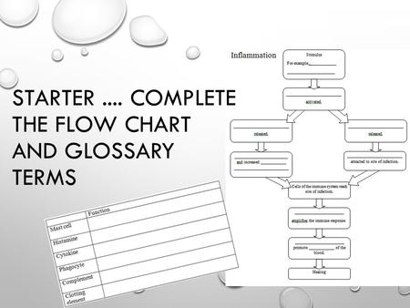 STARTER.... COMPLETE THE FLOW CHART AND GLOSSARY TERMS.