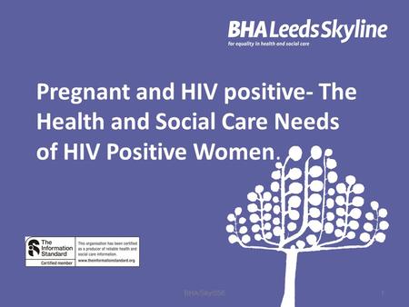 Pregnant and HIV positive- The Health and Social Care Needs of HIV Positive Women. 1 BHA/Sky/056.