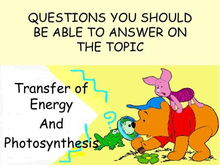QUESTIONS YOU SHOULD BE ABLE TO ANSWER ON THE TOPIC Transfer of Energy And Photosynthesis.