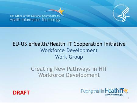 EU-US eHealth/Health IT Cooperation Initiative Workforce Development Work Group Creating New Pathways in HIT Workforce Development 0 DRAFT.