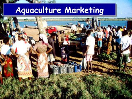 Aquaculture Marketing. Opening Comments  Aquaculture—old in practice, new ag industries  Rapid expansion globally  Development plagued by marketing.