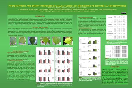 PHOTOSYNTHETIC AND GROWTH RESPONSES OF Populus CLONES I-214 AND ERIDANO TO ELEVATED Zn CONCENTRATIONS JORDI FERNÀNDEZ 1, MASSIMO ZACCHINI 2 and ISABEL.