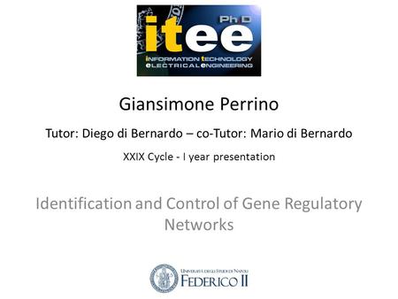 Giansimone Perrino Tutor: Diego di Bernardo – co-Tutor: Mario di Bernardo XXIX Cycle - I year presentation Identification and Control of Gene Regulatory.