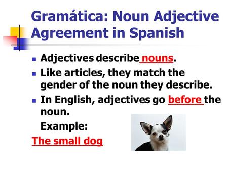 Gramática: Noun Adjective Agreement in Spanish