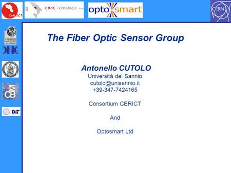 The Fiber Optic Sensor Group