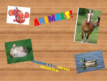 Animals!Animals! Spanish 1 By: Alyssa SIngleton. Animals! Perro Dog! Gato Cat!