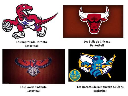 Les Raptors de Toronto Basketball Les Bulls de Chicago Basketball Les Hawks d’Atlanta Basketball Les Hornets de la Nouvelle-Orléans Basketball.